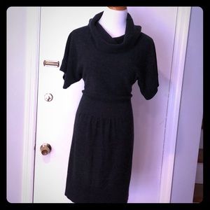 LOFT Sweater Dress Cowl Neck
